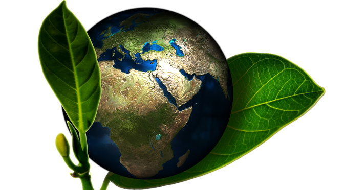 HE’S DOING A NEW THING