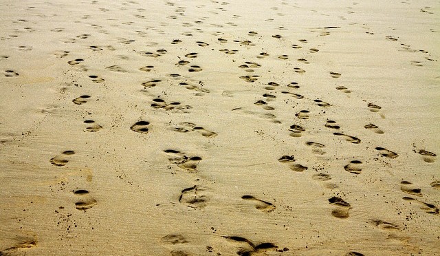 SET MY BROTHER FREE part II