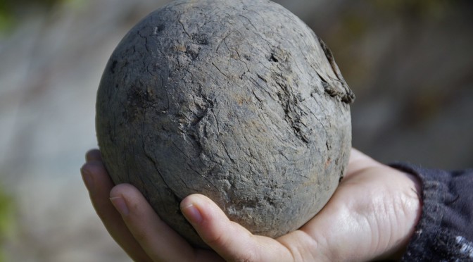 MAY I ASK YOU TO CONSIDER DROPPING IT?